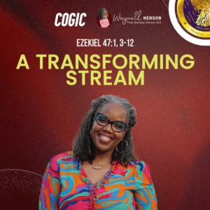 #TSSGNotes – 📚🙌🏽❤️ A Transforming Stream - November 10, 2024
